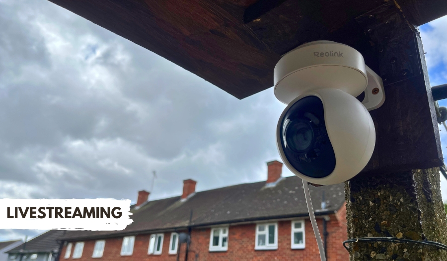 best camera for livestreaming wildlife