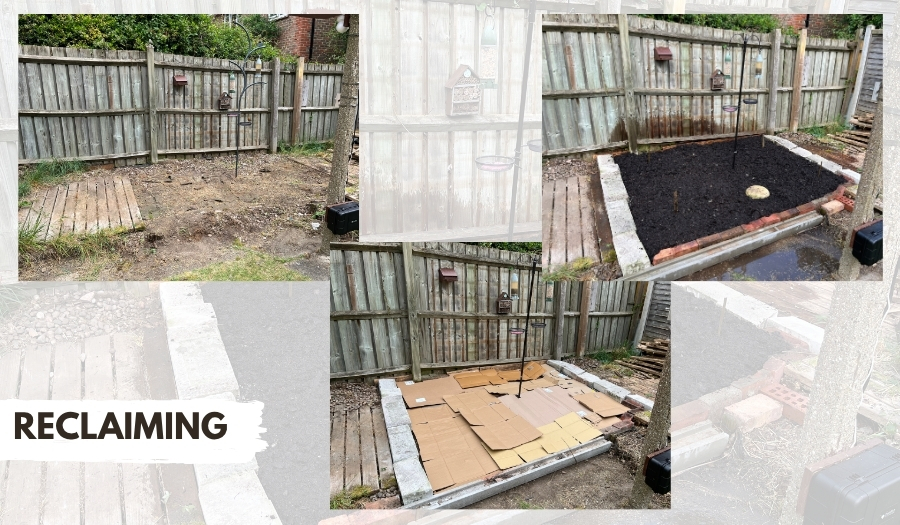 building a simple garden