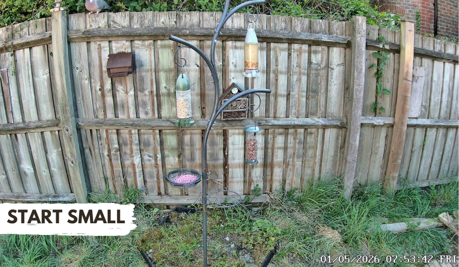 simple bird feeders
